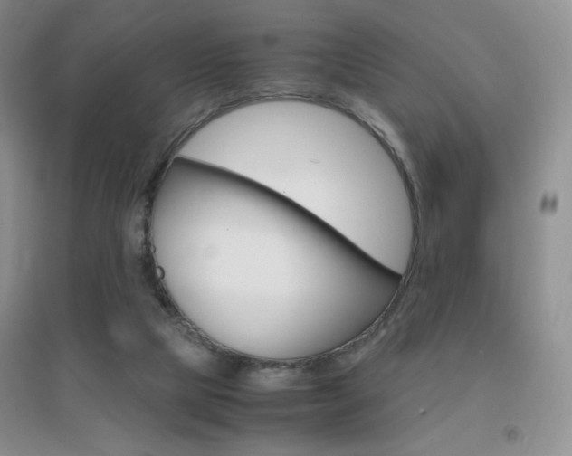 X0000096940065200802080908