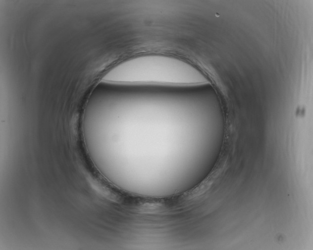X0000096940066200802080908