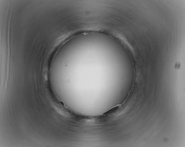 X0000096940068200802080908
