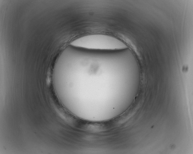 X0000096940069200802080908