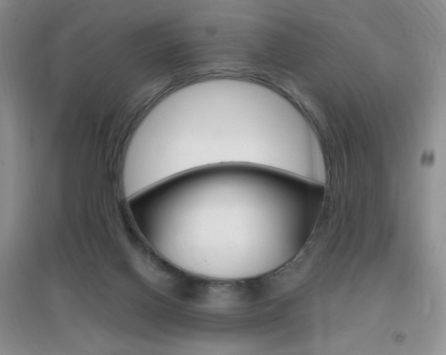 X0000096940070200802080908
