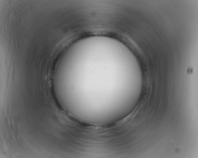 X0000096940074200802080908