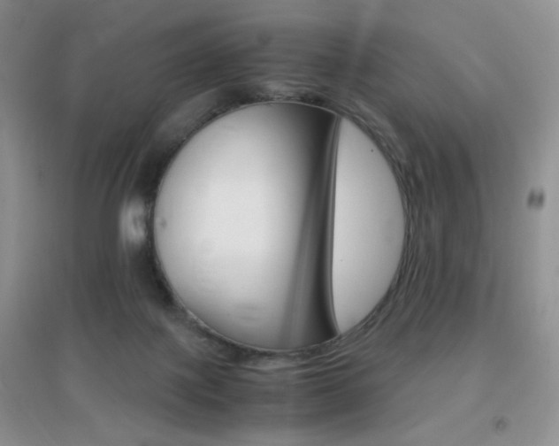 X0000096940075200802080908