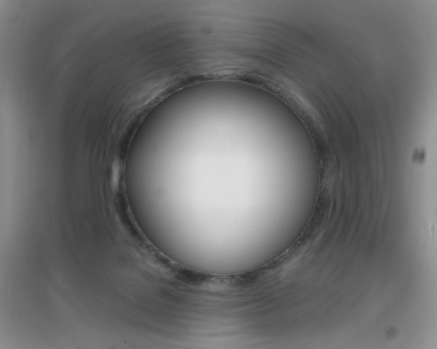 X0000096940076200802080908