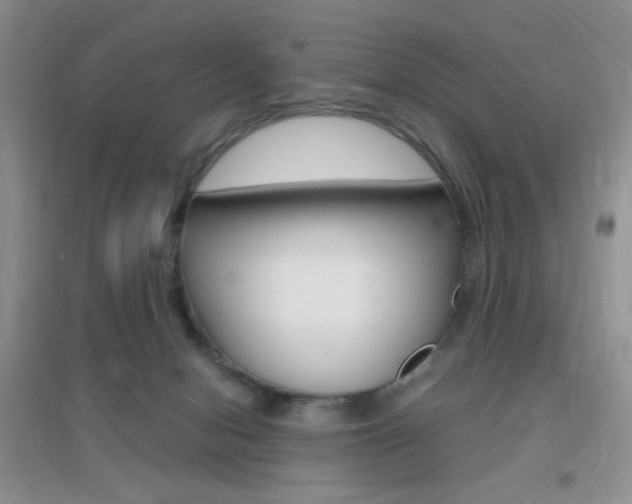 X0000096940078200802080908