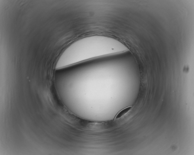 X0000096940082200802080908