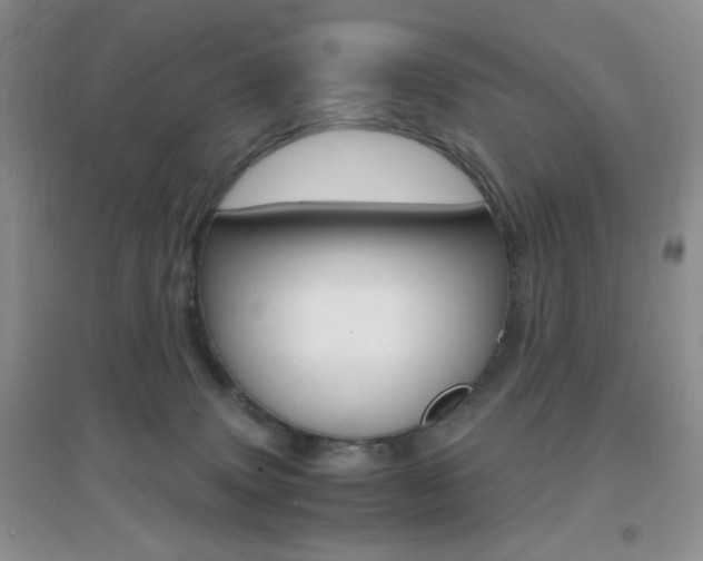 X0000096940083200802080908