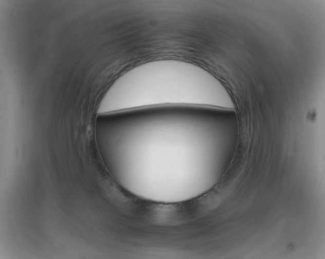 X0000096940085200802080908