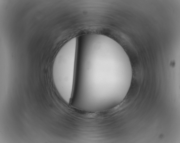 X0000096940086200802080908