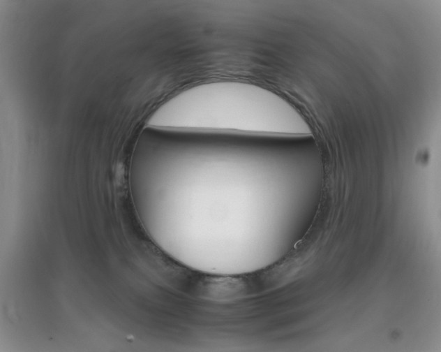 X0000096940087200802080908