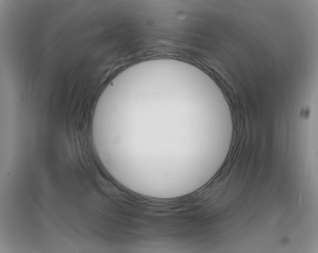 X0000096940088200802080908