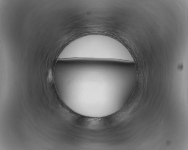 X0000096940089200802080908