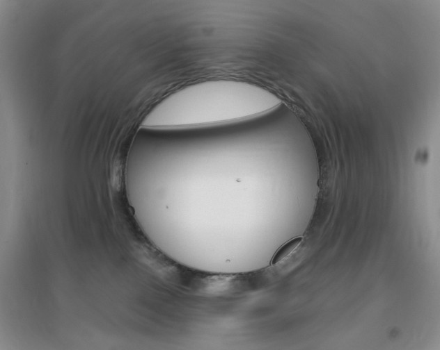 X0000096940090200802080908