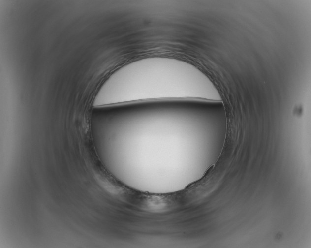 X0000096940091200802080908