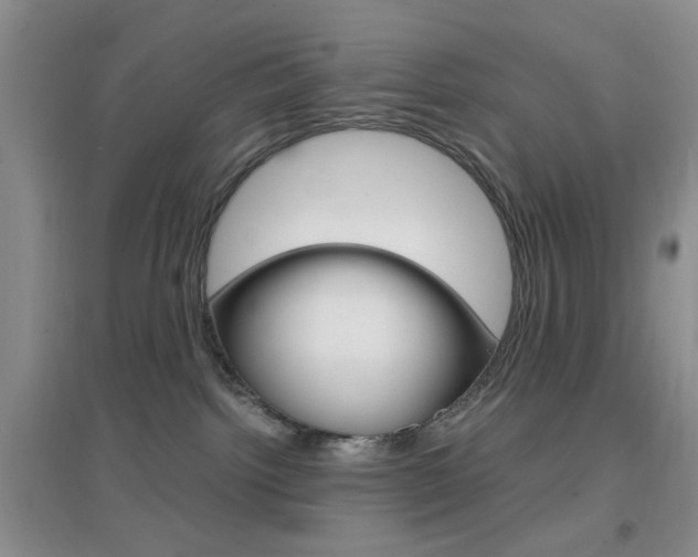X0000096940092200802080908