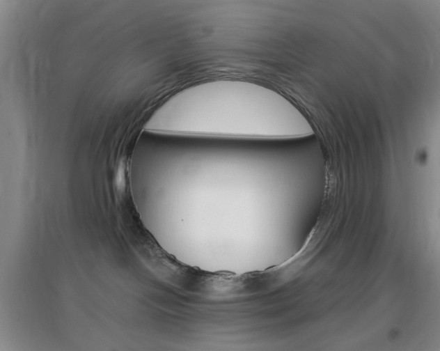 X0000096940094200802080908