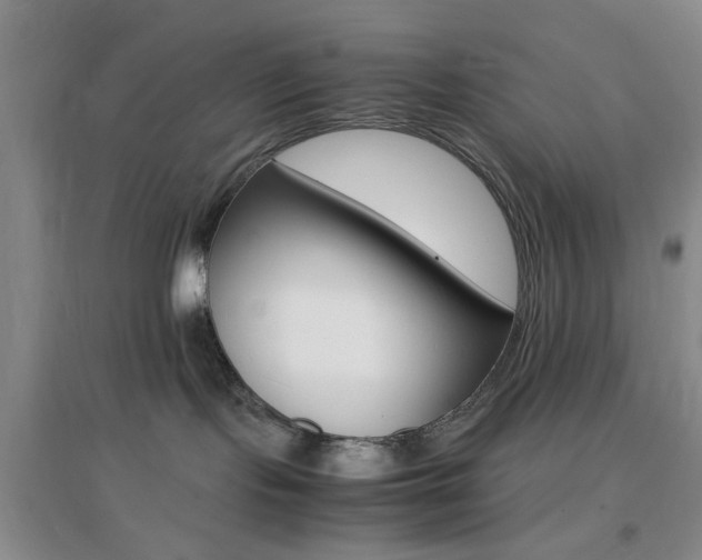 X0000096940095200802080908