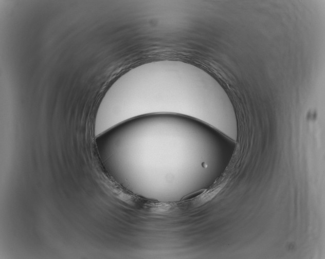 X0000096940096200802080908