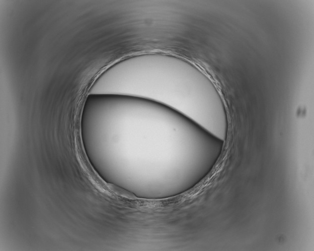 X0000096940097200802080907