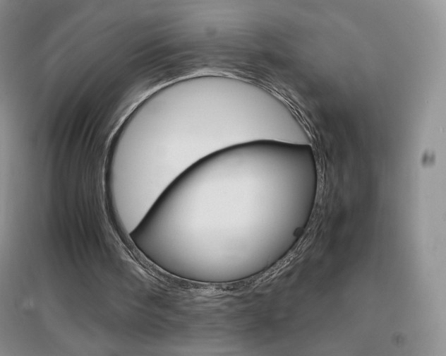 X0000096940098200802080907