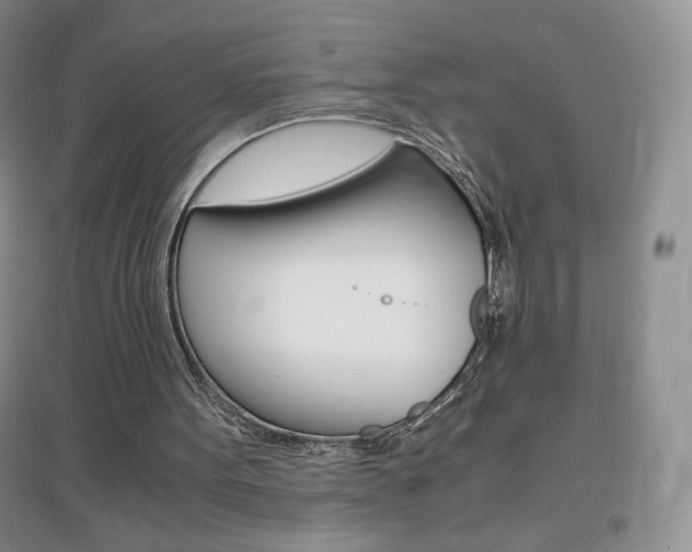 X0000096940099200802080907