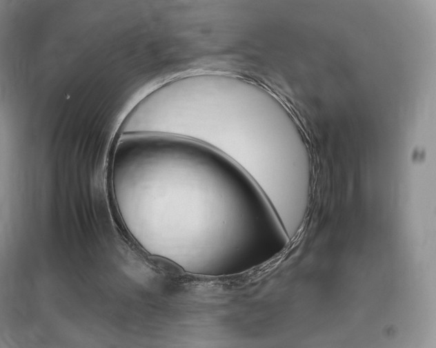 X0000096940100200802080907