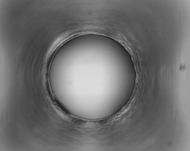 X0000096940101200802080907
