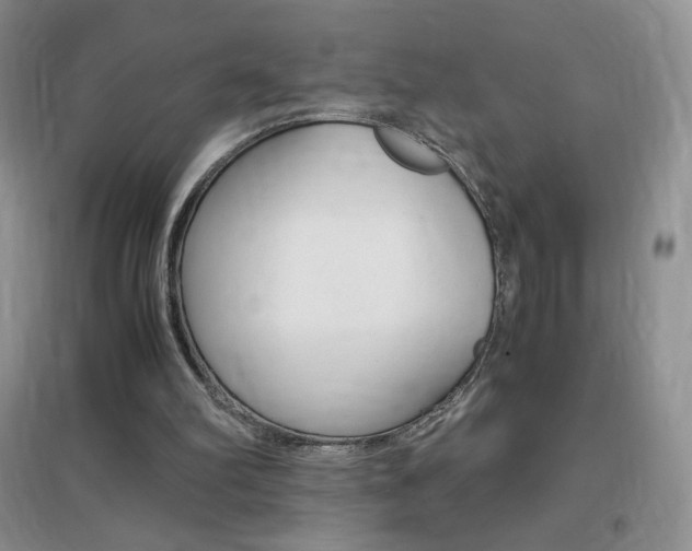 X0000096940102200802080907