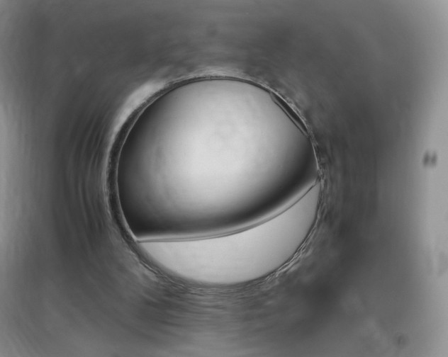 X0000096940104200802080907