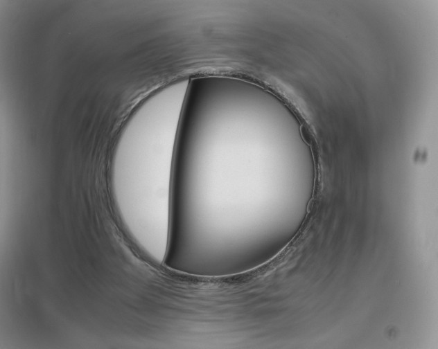 X0000096940105200802080907