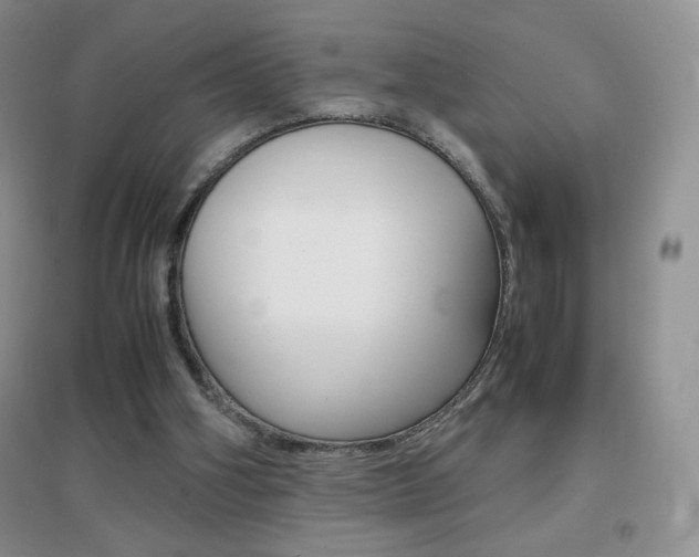 X0000096940106200802080907
