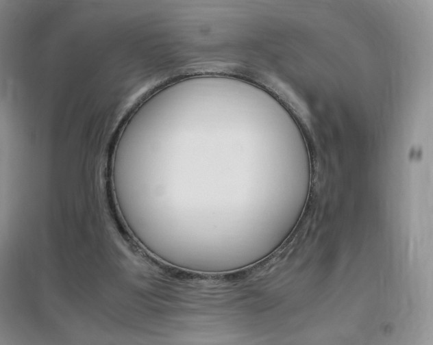 X0000096940107200802080907