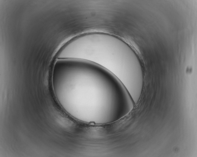 X0000096940108200802080907