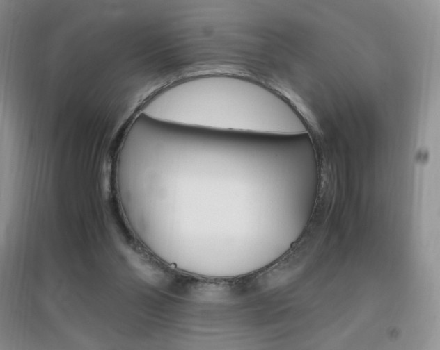 X0000096940110200802080907