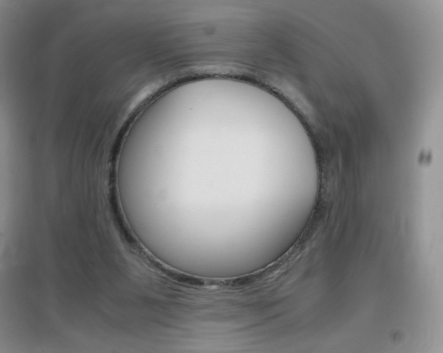 X0000096940111200802080907