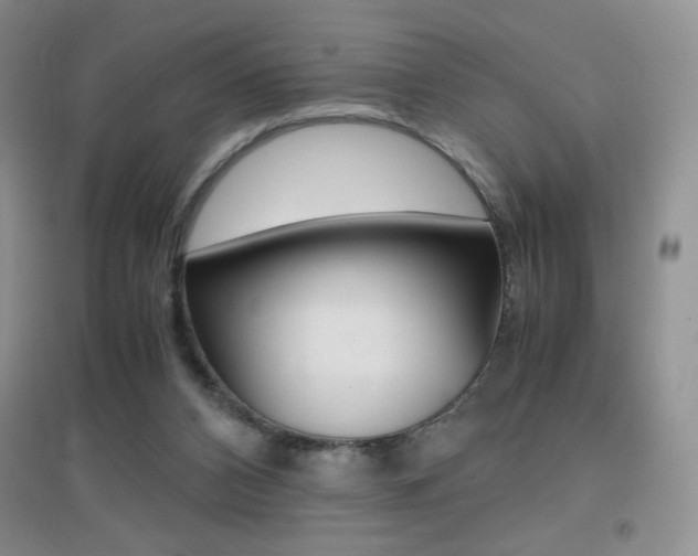 X0000096940112200802080907