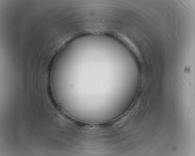 X0000096940113200802080907