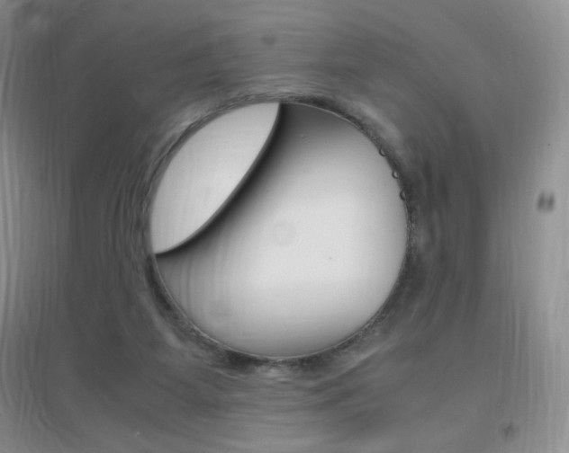 X0000096940115200802080907