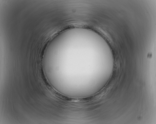 X0000096940117200802080907