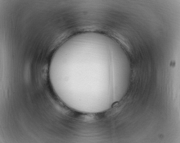 X0000096940118200802080907