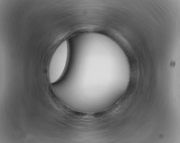 X0000096940119200802080907