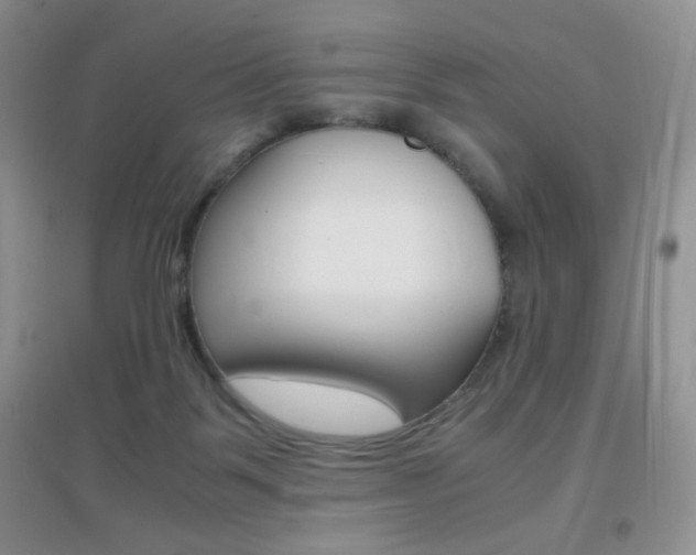 X0000096940123200802080907