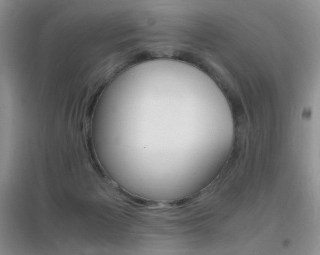 X0000096940125200802080907