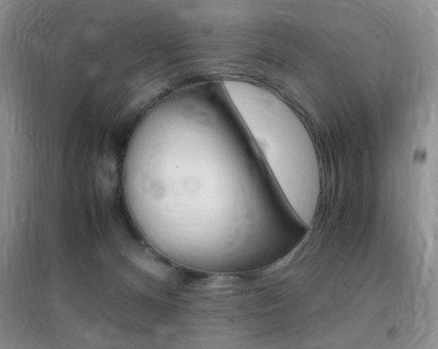 X0000096940128200802080907