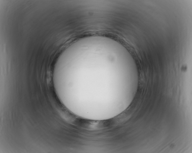 X0000096940130200802080907