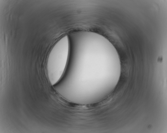 X0000096940131200802080907