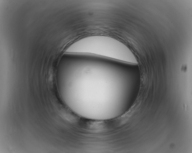 X0000096940132200802080907