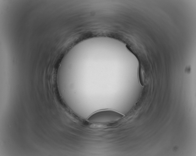 X0000096940133200802080907