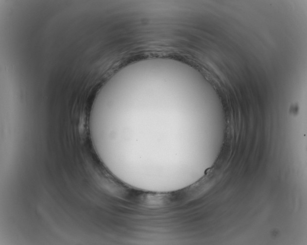 X0000096940134200802080907