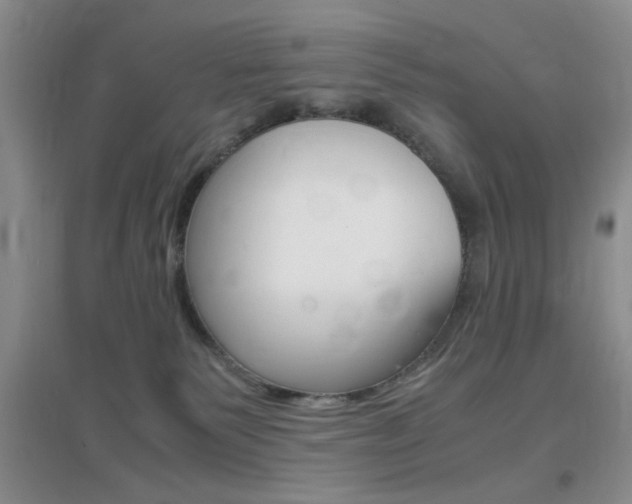 X0000096940135200802080907